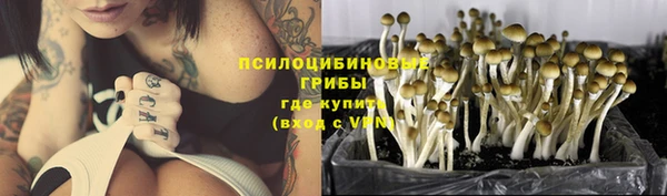 кокс Корсаков
